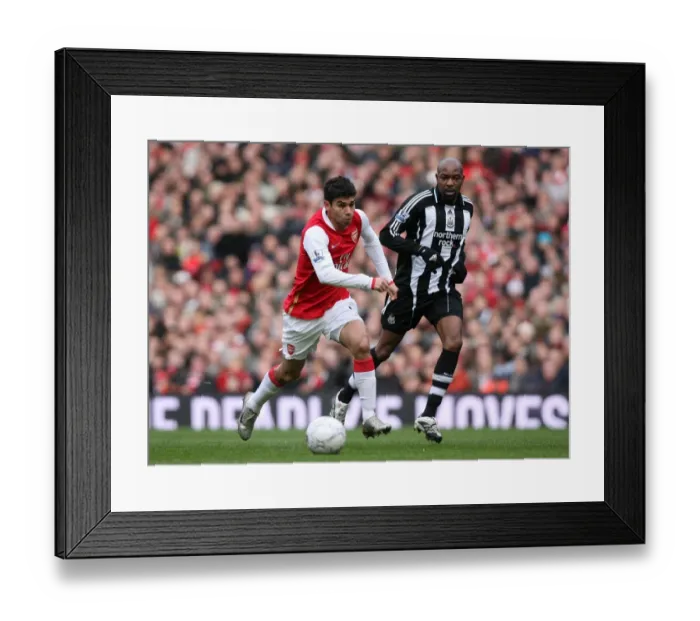 Framed Print : Eduardo (Arsenal) Claudio Cacapa (Newcastle United)
