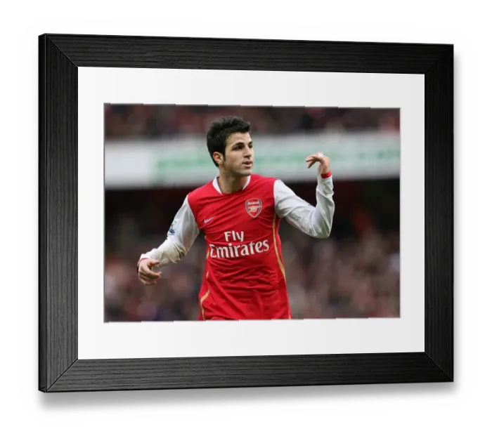 Framed Print : Cesc Fabregas Leads Arsenal to 3:0 FA Cup Victory over Newcastle United, Emirates Stadium, 2008