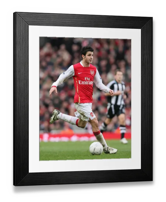 Framed Print : Cesc Fabregas in Action: Arsenal's 3-0 FA Cup Victory over Newcastle United, Emirates Stadium (January 2008)
