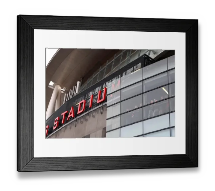 Framed Print : Fans in the stadium