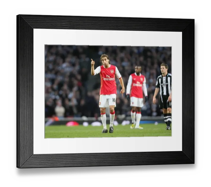 Framed Print : Mathieu Flamini (Arsenal)