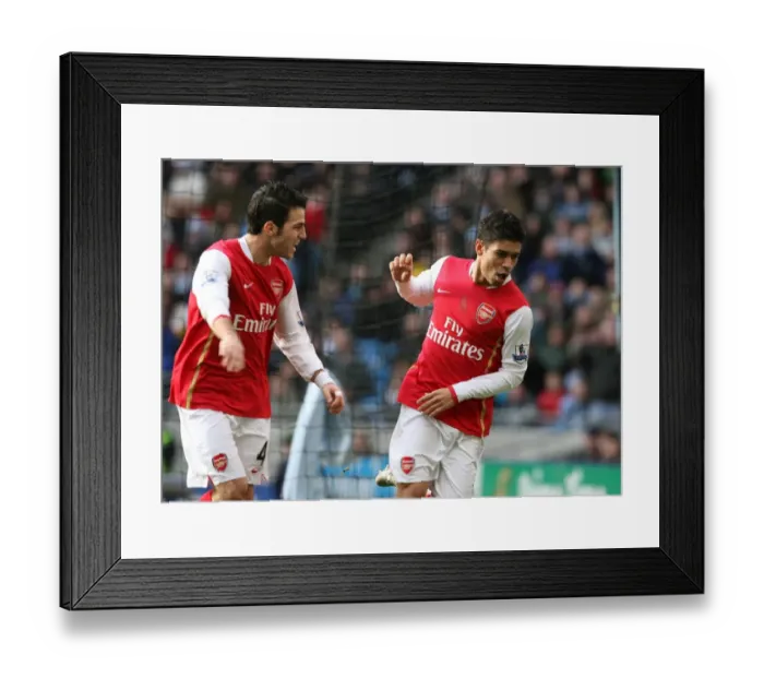 Framed Print : Eduardo (Arsenal) celebrates his goal with Cesc Fabregas Framed Print : Eduardo (Arsenal) celebrates his goal with Cesc Fabregas