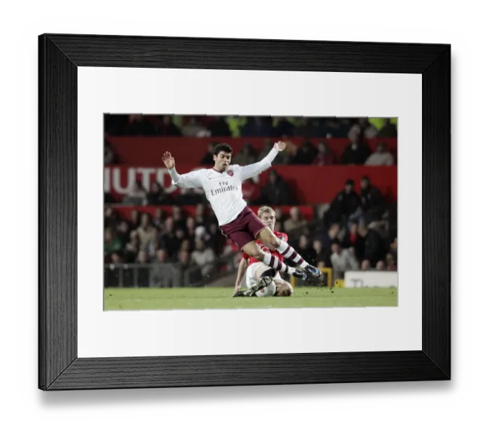 Framed Print : Eduardo (Arsenal) Darren Fletcher (Man Utd)