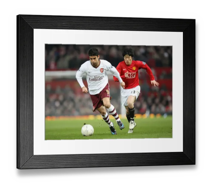 Framed Print : Eduardo (Arsenal) Ji-Sung Park (Man Utd) Framed Print : Eduardo (Arsenal) Ji-Sung Park (Man Utd)
