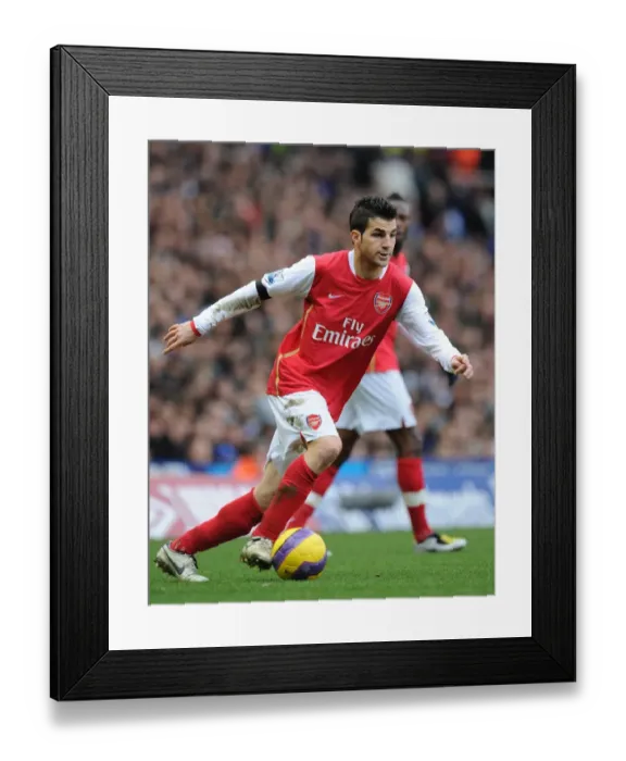 Framed Print : Fabregas Battle: Arsenal Holds Birmingham 2-2