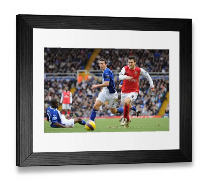 Framed Print : Cesc Fabregas (Arsenal) Stephen Kelly and Fabrice Muamba (Birmingham City) Framed Print : Cesc Fabregas (Arsenal) Stephen Kelly and Fabrice Muamba (Birmingham City)