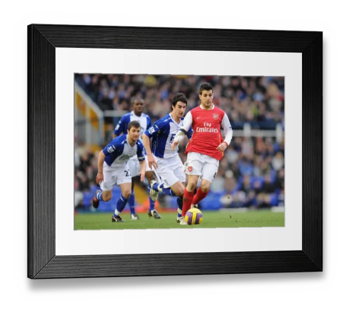 Framed Print : Cesc Fabregas (Arsenal) Liam Ridgewell and Damina Johnson (Birmingham City)
