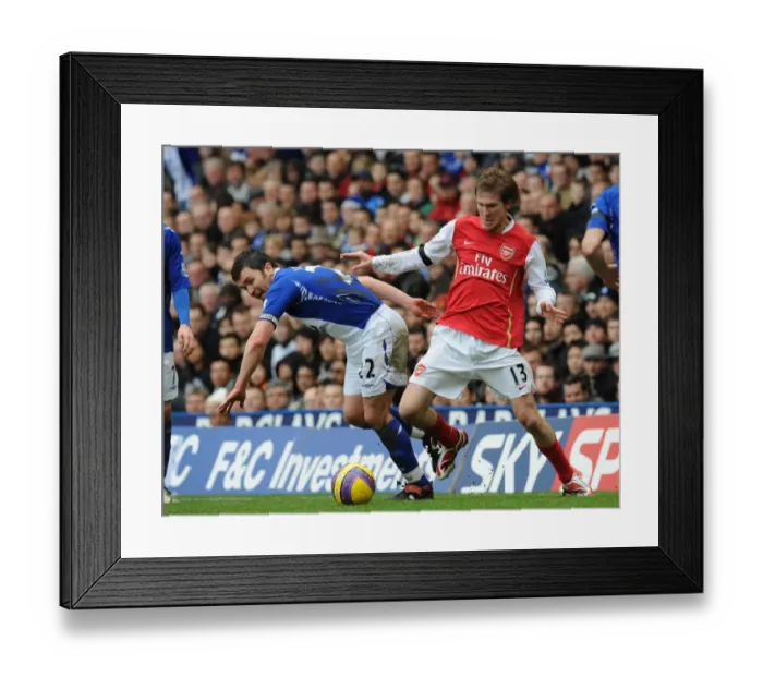 Framed Print : Alex Hleb (Arsenal) Damian Johnson (Birmingham City) Framed Print : Alex Hleb (Arsenal) Damian Johnson (Birmingham City)