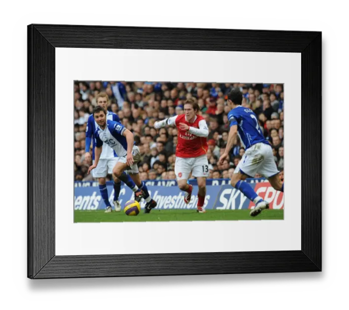 Framed Print : Alex Hleb (Arsenal) Stephen Kelly and Damian Johnson (Birmingham City) Framed Print : Alex Hleb (Arsenal) Stephen Kelly and Damian Johnson (Birmingham City)