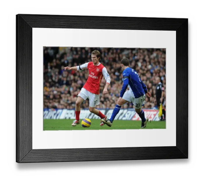 Framed Print : Alex Hleb (Arsenal) Stuart Parnaby (Birmingham City) Framed Print : Alex Hleb (Arsenal) Stuart Parnaby (Birmingham City)