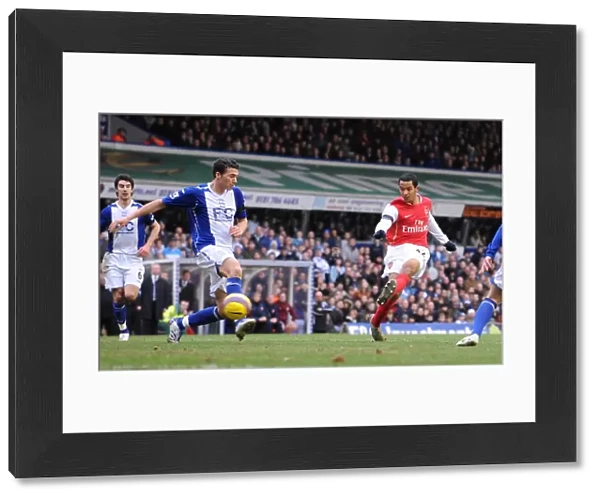 Theo Walcott shoots past Maik Taylor to score the 2nd Arsenal goal