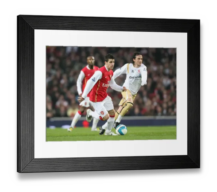 Framed Print : Cesc Fabregas (Arsenal) Tuncay Sanli (Middlesbrough) Framed Print : Cesc Fabregas (Arsenal) Tuncay Sanli (Middlesbrough)