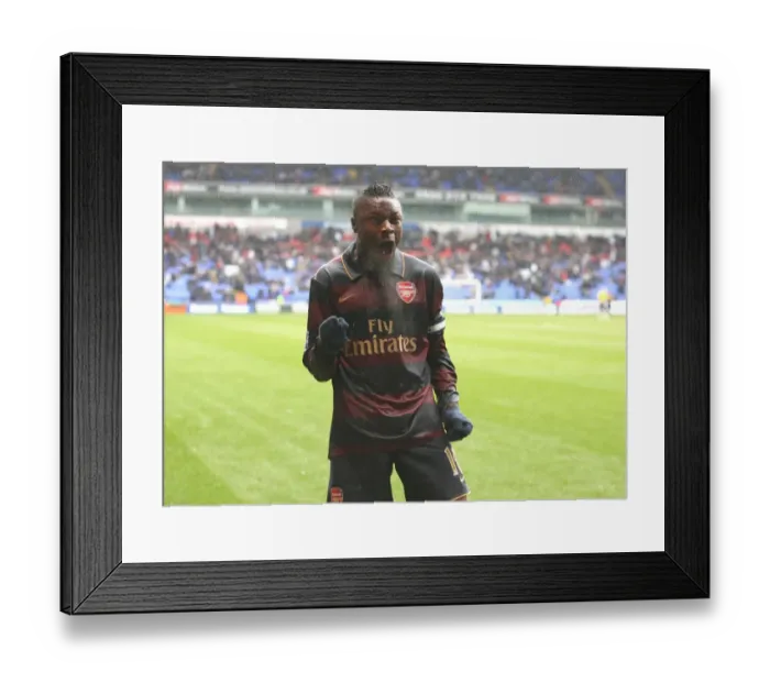 Framed Print : Gallas Triumph: Arsenal's Comeback Win Over Bolton Wanderers (3-2), Barclays Premier League, 2008
