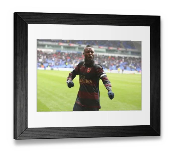 Framed Print : Gallas's Triumph: Arsenal's Comeback Win at Bolton Wanderers (3-2), Barclays Premier League, 2008 Framed Print : Gallas's Triumph: Arsenal's Comeback Win at Bolton Wanderers (3-2), Barclays Premier League, 2008
