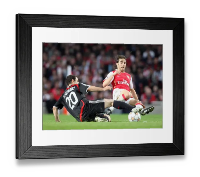 Framed Print : Mathieu Flamini (Arsenal) Javier Mascherano (Liverpool)