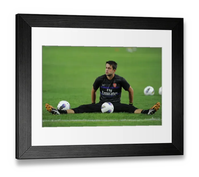 Framed Print : Lukasz Fabianski (Arsenal). Malaysia 1: 2 Arsenal. Pre Season Friendly. National Stadium Framed Print : Lukasz Fabianski (Arsenal). Malaysia 1: 2 Arsenal. Pre Season Friendly. National Stadium
