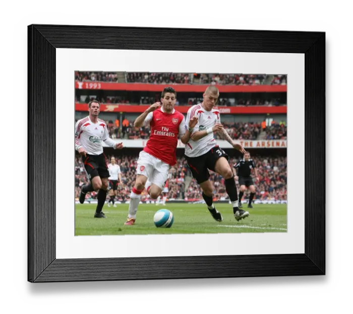 Framed Print : Cesc Fabregas (Arsenal) Martin Skrtel (Liverpool)