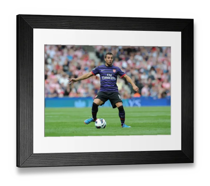 Framed Print : Santi Cazorla in Action: Arsenal vs Stoke City, Premier League 2012-13