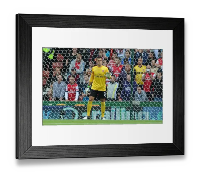 Framed Print : Vito Mannone: In Action Against Stoke City, 2012-13 Premier League