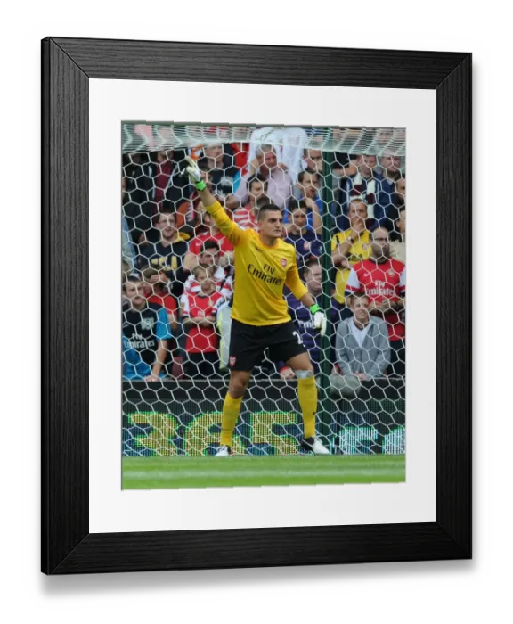 Framed Print : Vito Mannone: Arsenal's Goalkeeper in Action Against Stoke City (2012-13)