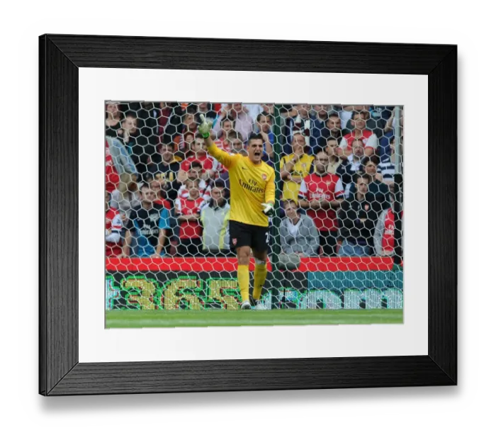 Framed Print : Vito Mannone's Defiant Performance: Arsenal vs Stoke City (2012-13)