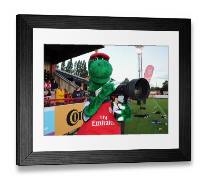 Framed Print : Gunner. Arsenal Ladies 1: 1 Bristol Academy. Womens Super League. Borehamwood, Herts, 31 / 8 / 12 Framed Print : Gunner. Arsenal Ladies 1: 1 Bristol Academy. Womens Super League. Borehamwood, Herts, 31 / 8 / 12