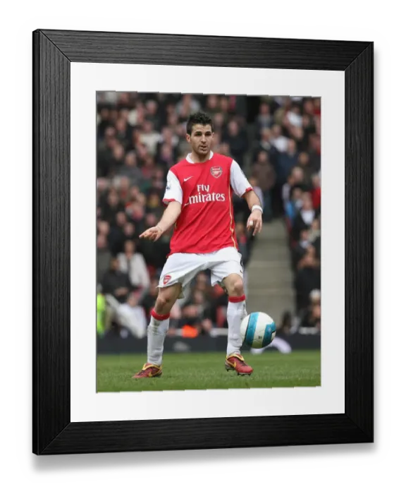 Framed Print : Cesc Fabregas (Arsenal) Framed Print : Cesc Fabregas (Arsenal)
