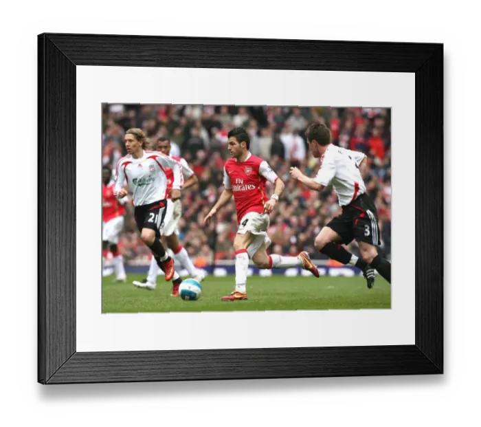 Framed Print : Cesc Fabregas (Arsenal) Steve Finnan (Liverpool) Framed Print : Cesc Fabregas (Arsenal) Steve Finnan (Liverpool)
