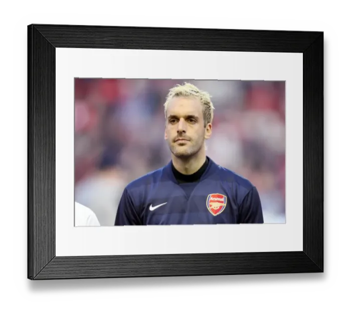 Framed Print : Manuel Almunia (Arsenal) Framed Print : Manuel Almunia (Arsenal)