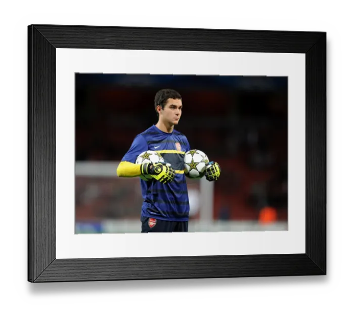 Framed Print : James Shea (Arsenal). Arsenal 3: 1 Olympiacos. UEFA Champions League. Group B Framed Print : James Shea (Arsenal). Arsenal 3: 1 Olympiacos. UEFA Champions League. Group B