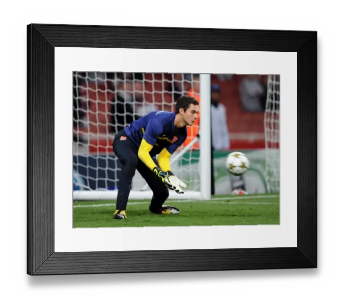 Framed Print : Arsenal Triumphs 3-1 over Olympiacos in Champions League Group Stage: James Shea's Victory Framed Print : Arsenal Triumphs 3-1 over Olympiacos in Champions League Group Stage: James Shea's Victory