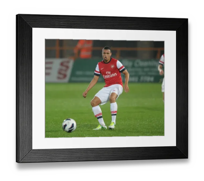 Framed Print : Francis Coquelin (Arsenal). Arsenal U21 2: 0 Reading U21. Barclays Premier U21 League Framed Print : Francis Coquelin (Arsenal). Arsenal U21 2: 0 Reading U21. Barclays Premier U21 League
