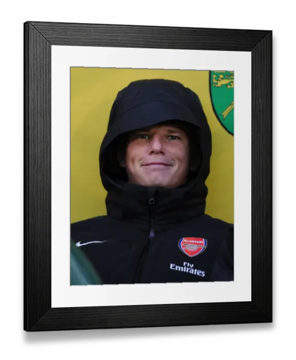 Framed Print : Andrey Arshavin on the Bench: Norwich City vs Arsenal, Premier League 2012-13 Framed Print : Andrey Arshavin on the Bench: Norwich City vs Arsenal, Premier League 2012-13