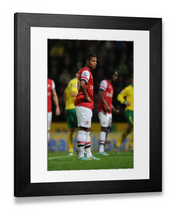 Framed Print : Serge Gnabry's Breakout: Norwich City vs. Arsenal, 2012-13 Premier League Framed Print : Serge Gnabry's Breakout: Norwich City vs. Arsenal, 2012-13 Premier League