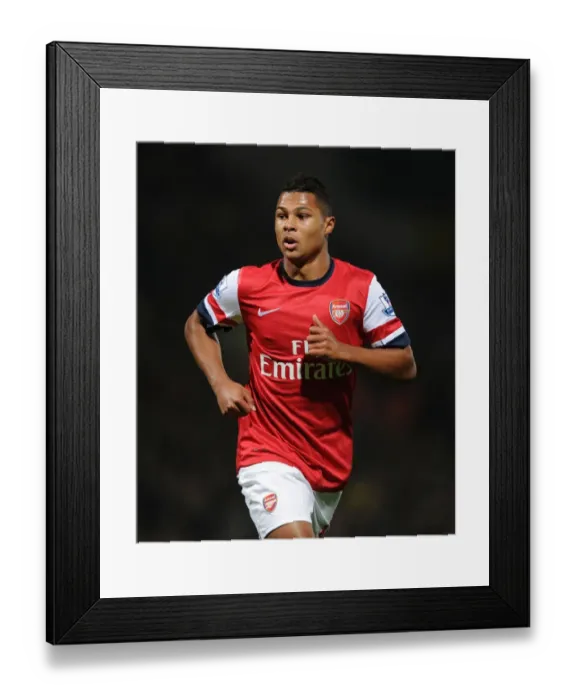 Framed Print : Serge Gnabry's Breakout: Norwich City vs. Arsenal, 2012-13 Premier League Framed Print : Serge Gnabry's Breakout: Norwich City vs. Arsenal, 2012-13 Premier League