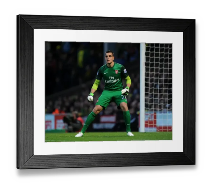 Framed Print : Vito Mannone: Arsenal Goalkeeper in Action Against Norwich City (2012-13) Framed Print : Vito Mannone: Arsenal Goalkeeper in Action Against Norwich City (2012-13)