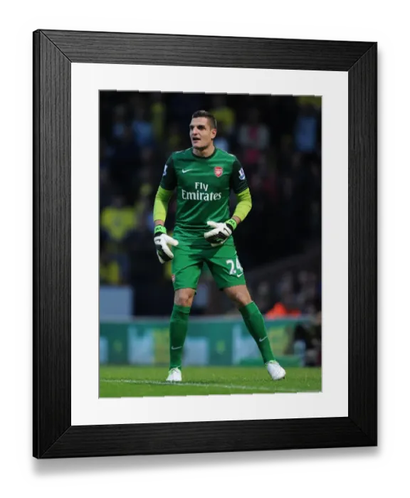 Framed Print : Vito Mannone: Arsenal's Heroic Performance Against Norwich City (2012-13)