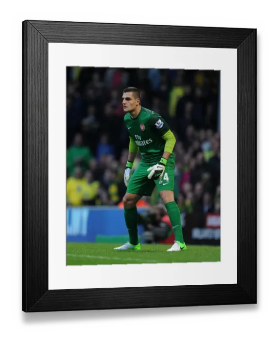 Framed Print : Vito Mannone: Arsenal's Defiant Goalkeeper vs. Norwich City (2012-13) Framed Print : Vito Mannone: Arsenal's Defiant Goalkeeper vs. Norwich City (2012-13)