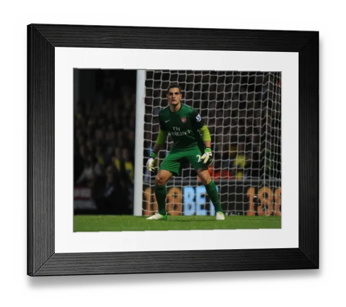 Framed Print : Vito Mannone: Arsenal's Goalkeeper at Norwich City (2012-13)