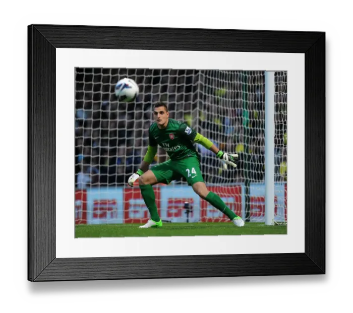 Framed Print : Vito Mannone: Arsenal's Determined Goalkeeper in Action Against Norwich City (2012-13) Framed Print : Vito Mannone: Arsenal's Determined Goalkeeper in Action Against Norwich City (2012-13)