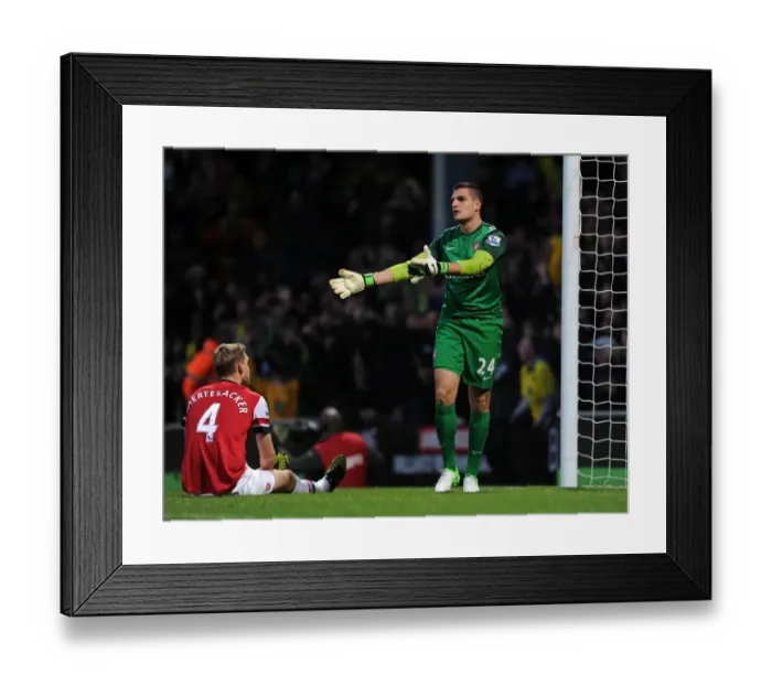 Framed Print : Vito Mannone: Arsenal's Away Goalkeeper at Norwich City (2012-13) Framed Print : Vito Mannone: Arsenal's Away Goalkeeper at Norwich City (2012-13)