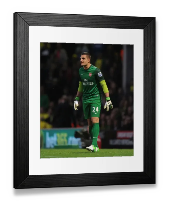 Framed Print : Vito Mannone: Arsenal's Goalkeeper at Carrow Road (Norwich City vs Arsenal, 2012-13) Framed Print : Vito Mannone: Arsenal's Goalkeeper at Carrow Road (Norwich City vs Arsenal, 2012-13)
