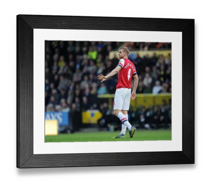 Framed Print : Per Mertesacker (Arsenal). Norwich City 1: 0 Arsenal. Barclays Premier League Framed Print : Per Mertesacker (Arsenal). Norwich City 1: 0 Arsenal. Barclays Premier League