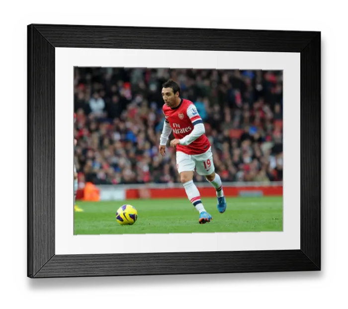 Framed Print : Santi Cazorla's Stunner: Arsenal 1-0 Queens Park Rangers, Barclays Premier League (2012-13)
