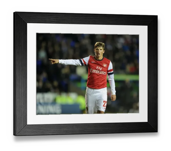 Framed Print : Andrey Arshavin in Action: Reading vs. Arsenal, Capital One Cup 2012-13 Framed Print : Andrey Arshavin in Action: Reading vs. Arsenal, Capital One Cup 2012-13
