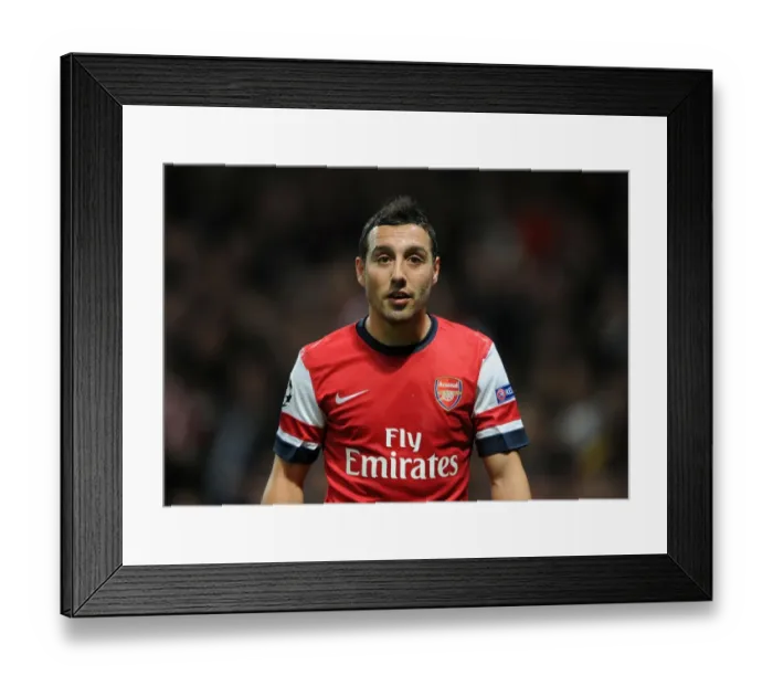 Framed Print : Santi Cazorla: Arsenal's Creative Spark in the 2012-13 Champions League Clash Against Schalke 04 Framed Print : Santi Cazorla: Arsenal's Creative Spark in the 2012-13 Champions League Clash Against Schalke 04