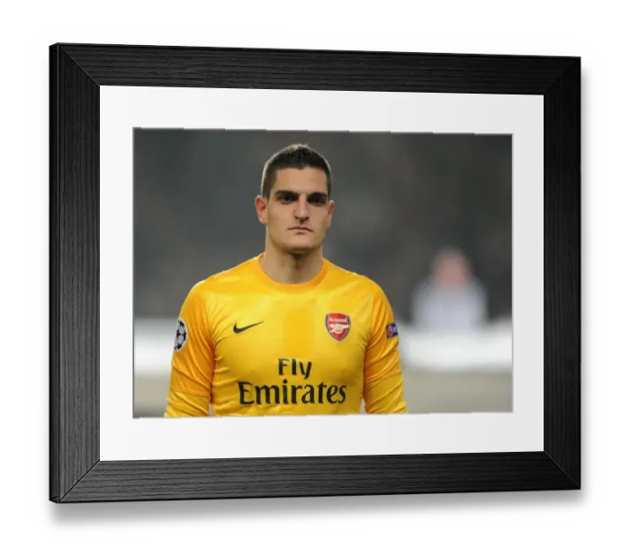 Framed Print : Vito Mannone: Arsenal FC vs. FC Schalke 04, UEFA Champions League, 2012
