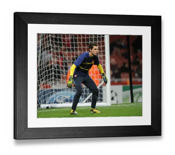 Framed Print : James Shea's Disappointing Night: Arsenal 0:2 Schalke 04, UEFA Champions League, Group B