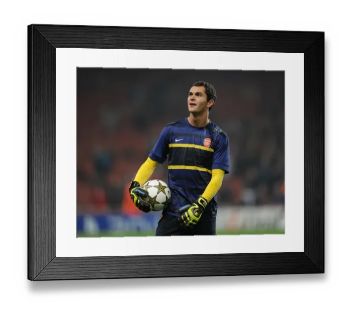 Framed Print : James Shea: Arsenal's Loss in UEFA Champions League Group B Against Schalke 04 (2012-13) Framed Print : James Shea: Arsenal's Loss in UEFA Champions League Group B Against Schalke 04 (2012-13)