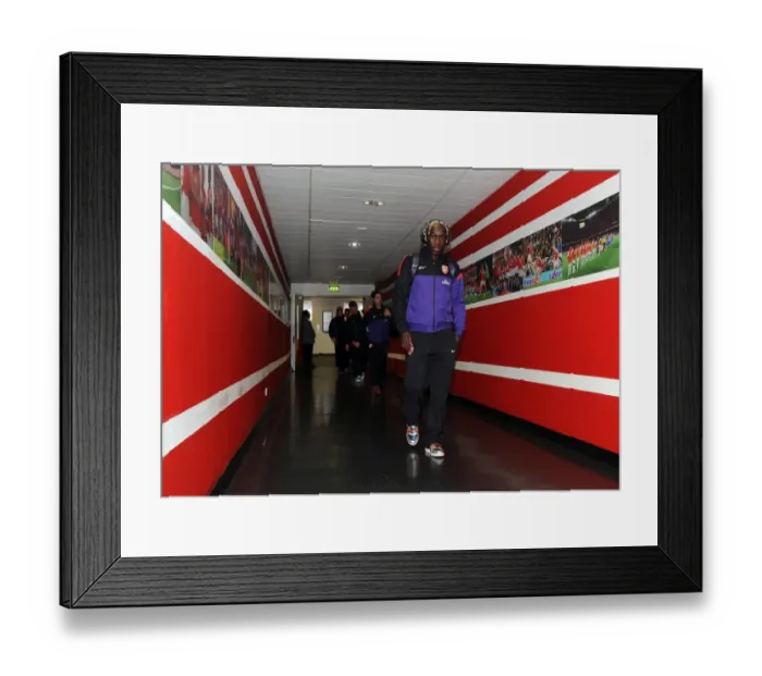Framed Print : Arsenal's Bacary Sagna Celebrates in Arsenal's 5-2 Victory Over Tottenham Hotspur at Emirates Stadium (2012) Framed Print : Arsenal's Bacary Sagna Celebrates in Arsenal's 5-2 Victory Over Tottenham Hotspur at Emirates Stadium (2012)